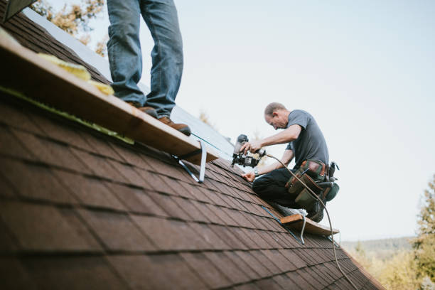 Quick and Trustworthy Emergency Roof Repair Services in La Crosse, WI